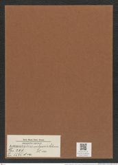 Actinoptychus vulgaris Schum. (de-Toni-Nr.: Genus 227, Species 5565) Zeichnungen Sammlung Grunow Mappe 05323 (Herbarium_W_Grunow_drawings_Folder_05323)